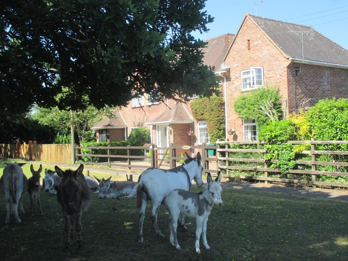 Hops Main House New Forest Villa Brockenhurst Exterior foto