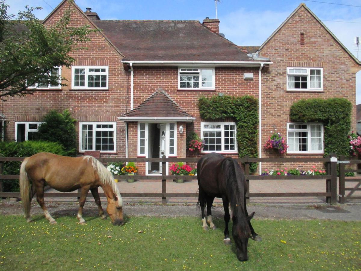 Hops Main House New Forest Villa Brockenhurst Exterior foto