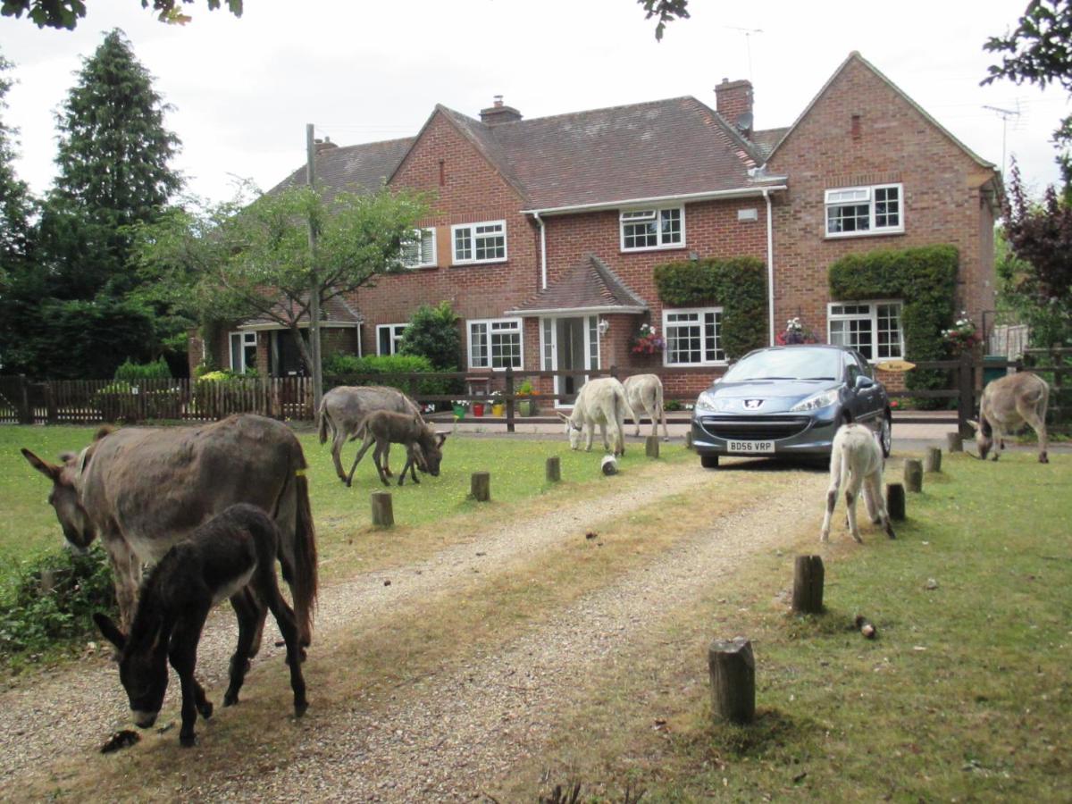 Hops Main House New Forest Villa Brockenhurst Exterior foto